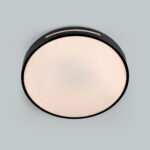 Bola LED Black Flush Light