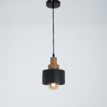 Elvryn 1 Light Black Pendant