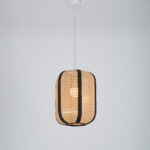 Adelina 1 Light Black × Beige Chandelier
