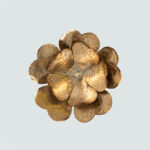 Arcanova 1 Light Gold × White Pendant - Image 2
