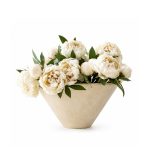 Darivis Off White Vase